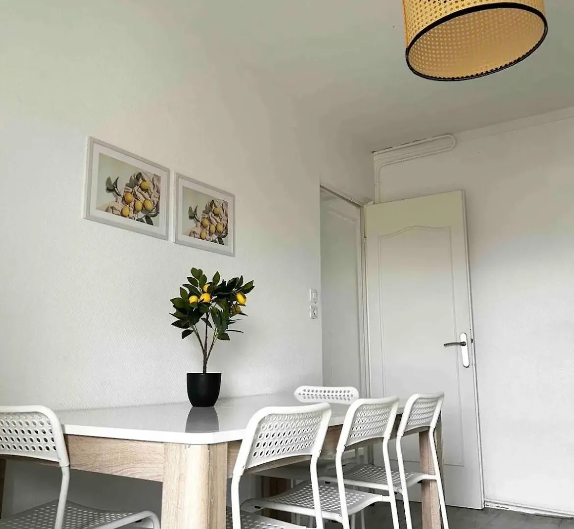 Grand Appartement Lumineux Vaulx-en-Velin Apartment